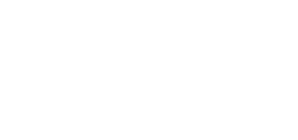 bingalum_taglinesolid-logo-reverse-rgb